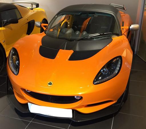 Lotus Paint Protection